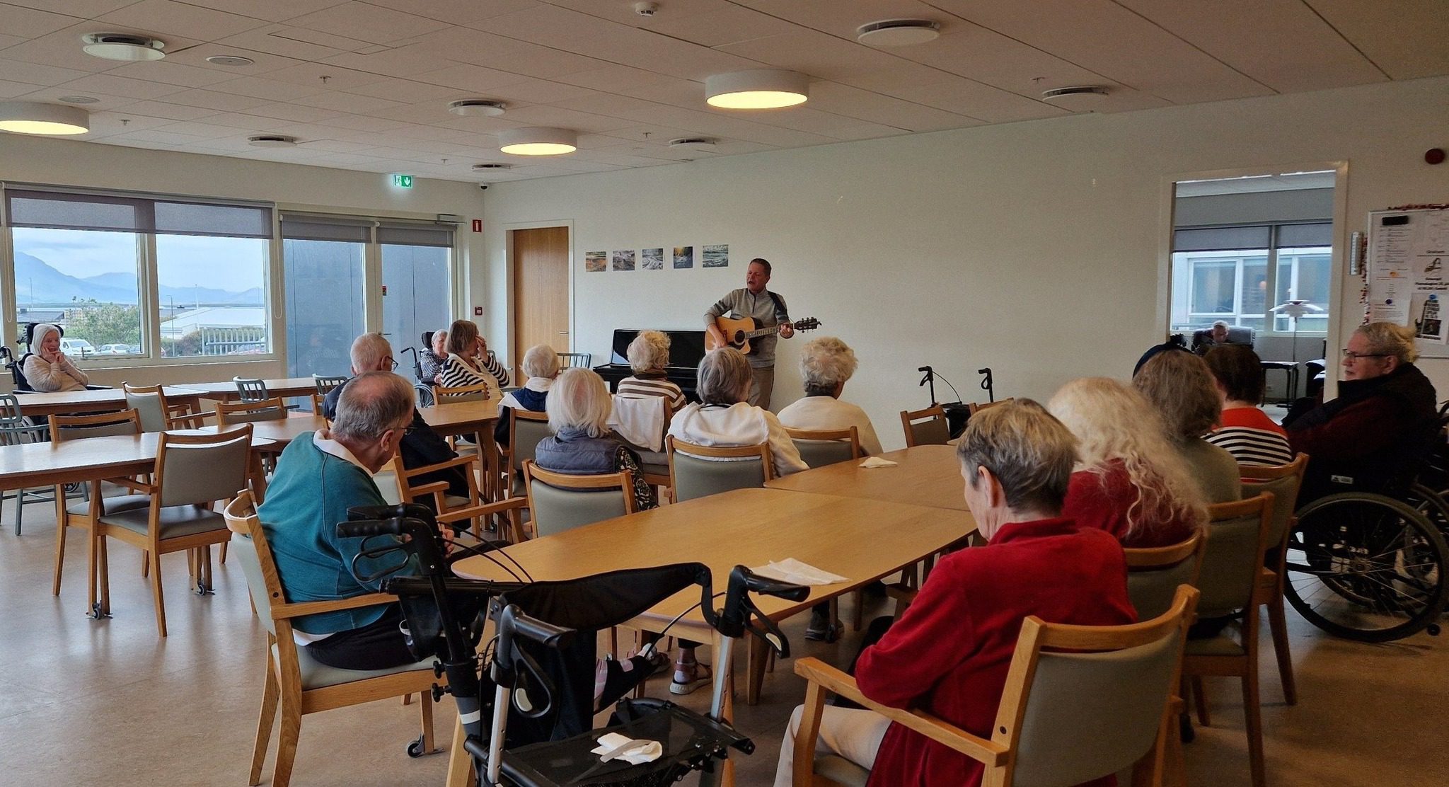 Líf og fjör á Seltjörn